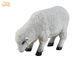 Indoor Putih Polyresin Dolly Domba Patung Patung-patung Hewan Lantai Dekorasi Patung