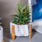 Marmer Selesai Kaktus Pot Bunga Peralatan Rumah Tangga Barang-barang Dekoratif Pot Tanaman Succulents Vas Meja Semen