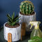 Pot Bunga Semen Mini Succulents Plant Pot Round Planters Tabletop Planters Cactus Planters