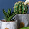 Pot Bulat Pekebun Mini Pot Bunga Tanah Liat Pot Bunga Semen Succulents Pekebun Marmer Pot Pekebun Meja Pekebun