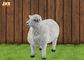 Putih Hidup Ukuran Fiberglass Dolly Domba Patung Patung Hewan Dekorasi Taman
