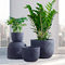 Pot Taman Lapuk Pot Bunga Tanah Liat Resin Pot Tanaman Luar Ruangan Pot Bunga Abu-abu Pekebun Fiberglass