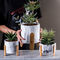 Pot Meja Succulents Pot Tanaman Peralatan Rumah Tangga Barang-barang Hias Mini Semen Pot Bunga Pekebun Tekstur Marmer